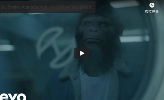 【歌】1.2億万回再生！DJスネイクのYou Know You Like Itのクールにノレるサンドが最高だぜ！
