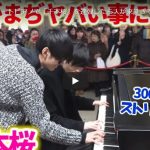 【演奏】1383万回再生！ピアニストユーチューバーよみぃが和楽器バンドの千本桜を弾いたらヤバイ人だかりに！