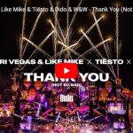 Dimitri Vegas & Like Mikeの Thank Youのライブで熱狂！