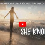 Dimitri Vegas & Like MikeのShe Knowsで惹き込む曲！