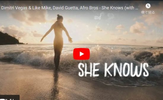 Dimitri Vegas & Like MikeのShe Knowsで惹き込む曲！