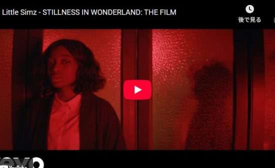 Little Simz「STILLNESS IN WONDERLAND」の圧巻の表現力