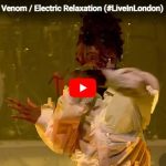 リトル・シムズ「Venom」名曲カバーへの流れが最大の見どころなライブ