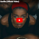 リトル・シムズ「Gorilla」現代美術館のような映像美と圧倒的カリスマ