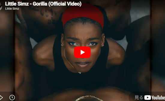 リトル・シムズ「Gorilla」現代美術館のような映像美と圧倒的カリスマ