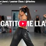 Harimu「Un Gatito Me Llamó」歌詞をコミカルに体現キュートなダンス
