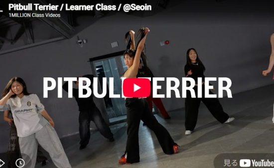 Seoin「Pitbull Terrier」重低音のたびに体が反応する鋭いヒットの快感
